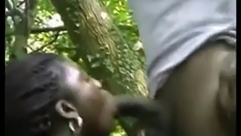 Martellino'S African Ebony Anal Fucking